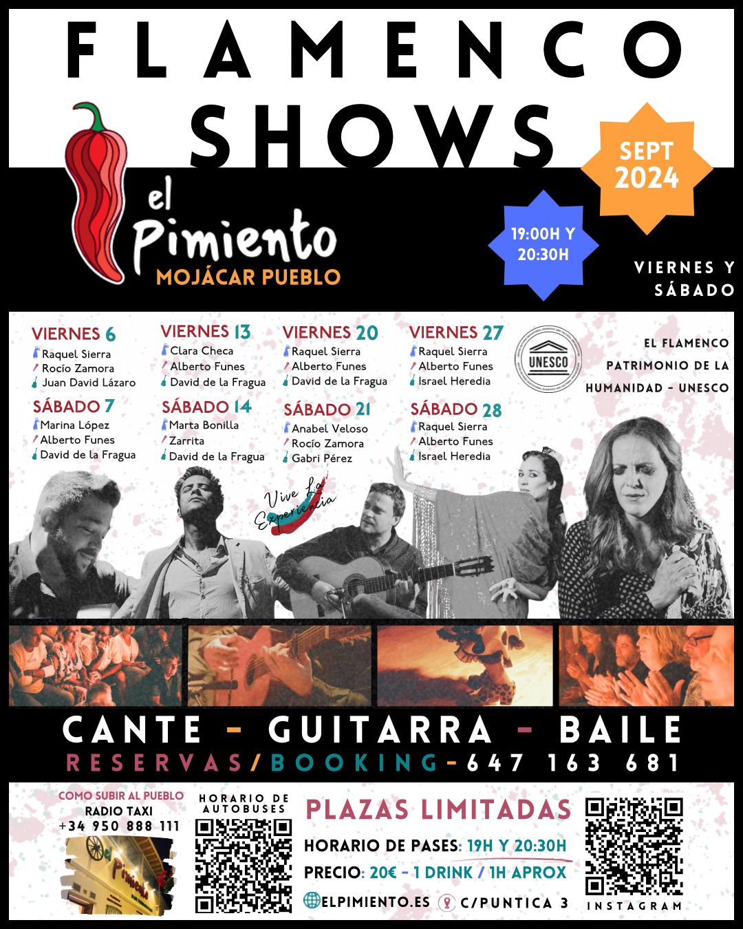 Espectáculos de flamenco